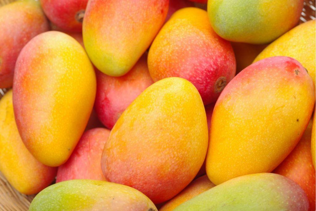 Mangas virškinimui: stebuklingas vaisius jūsų skrandžiui – Mango maistinė vertė ir nauda organizmui
