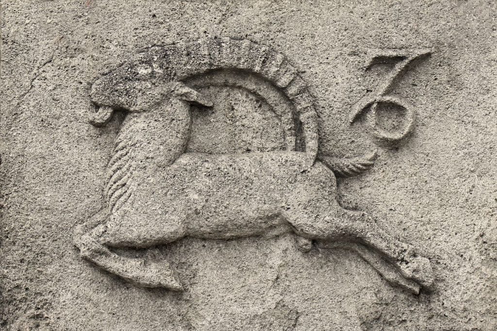 Ožiaragio paslaptys: 9 savybės, kurios jus nustebins – Atmintis kaip dramblio ir atleidimo stoka