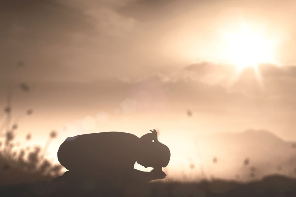 Tikėjimas Dievu stiprina imuninę sistemą: mokslininkai atskleidžia tai, apie ką daugelis nežino – Klinikinė patirtis ir nepaaiškinami išgyvenimai