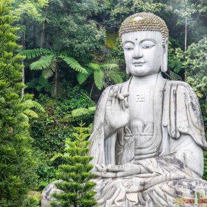 5 vertingi Dalai Lama patarimai, kurie padės surasti laimę