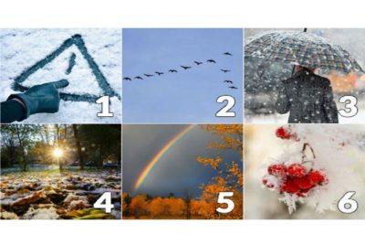 Pasirinkite nuotrauką ir sužinokite, koks jums bus sausis – Kaip pasirinkti tinkamą nuotrauką intuicijos testui