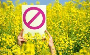 Absurdiškiausi draudimai pasaulyje, apie kuriuos turistai dažnai net nenutuokia