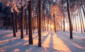 Alergija šalčiui: kaip apsisaugoti ir ko vengti