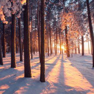 Alergija šalčiui: kaip apsisaugoti ir ko vengti