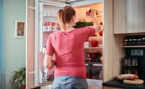 Ar galima dėti karštą maistą į šaldytuvą: išsklaidome mitus ir atsakome į klausimus