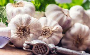 Ar laikote česnakus šaldytuve? Daugiau niekuomet taip nedarykite!