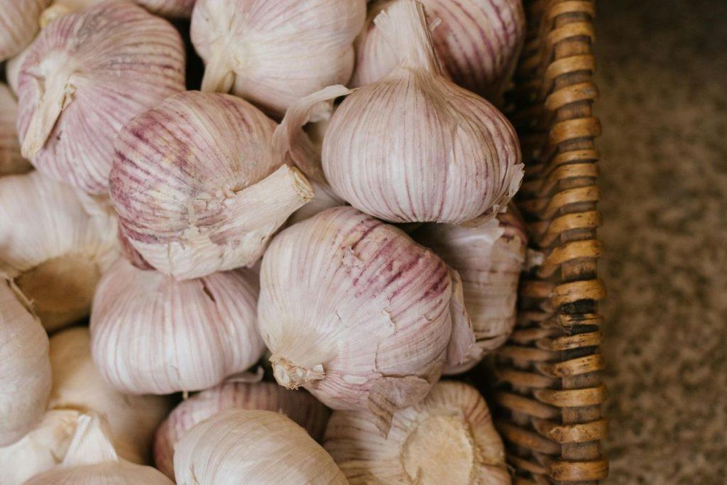 Ar laikote česnakus šaldytuve? Daugiau niekuomet taip nedarykite! Kaip atpažinti kad česnakas netinkamas