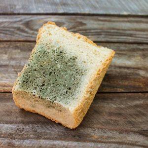 Ar tikrai galite nupjauti apipelijusią dalį ir valgyti toliau? Kodėl maistas su pelėsiu kelia pavojų visam organizmui!