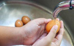 Ar tikrai saugu plauti kiaušinius prieš juos verdant? Štai kodėl tai gali būti pavojinga