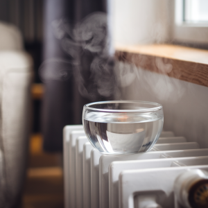 Kodėl žiemą reikia pastatyti vandens dubenį kambaryje