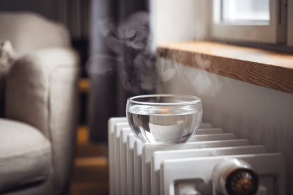 Kodėl žiemą reikia pastatyti vandens dubenį kambaryje