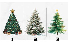 Asmenybės testas: išsirinkite kalėdinę eglutę ir sužinokite savo charakterį