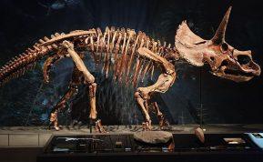 Atradimas Italijos Alpėse keičia tai, ką manėme žinantys apie dinozaurus