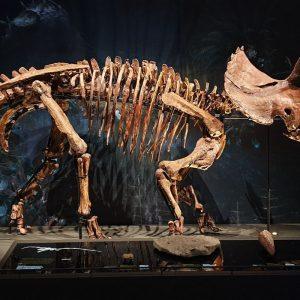 Atradimas Italijos Alpėse keičia tai, ką manėme žinantys apie dinozaurus