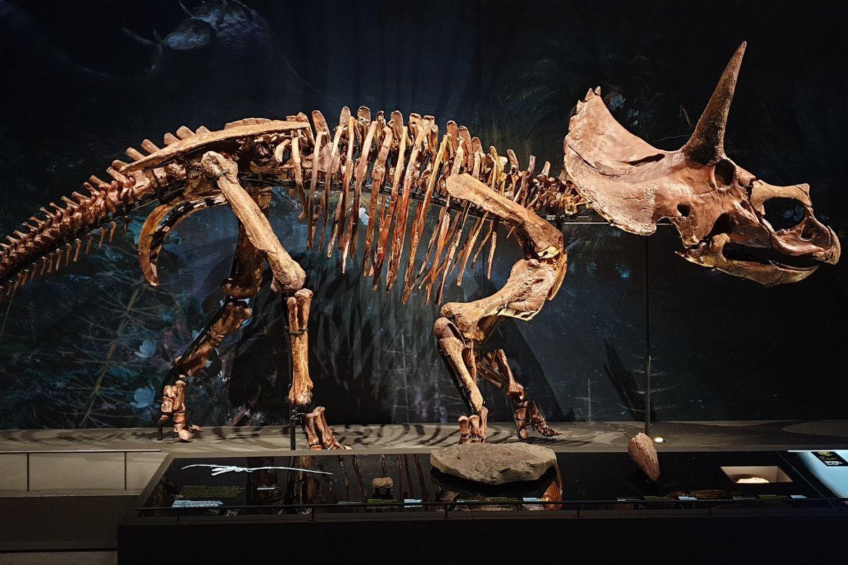 Atradimas Italijos Alpėse keičia tai, ką manėme žinantys apie dinozaurus