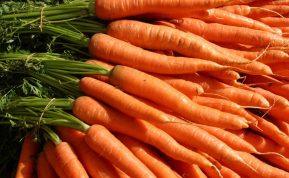 Atraskite paslaptis, kaip tinkamai laikyti morkas namuose ir išsaugoti jų šviežumą iki kitos vasaros