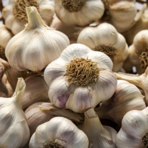 Česnakai neišdžiūsta ir neleidžia daigų: 2 žingsnių metodas, kuris veikia iki pavasario