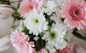 Testas: pasirinkite gėlę ir sužinokite, ko jums dabar reikia