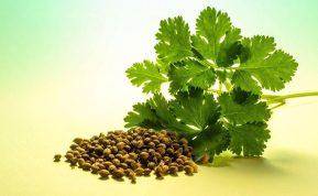 Šis prieskonis mažina kraujospūdį ir cholesterolio kiekį kraujyje: jį būtina turėti kiekvienoje virtuvėje