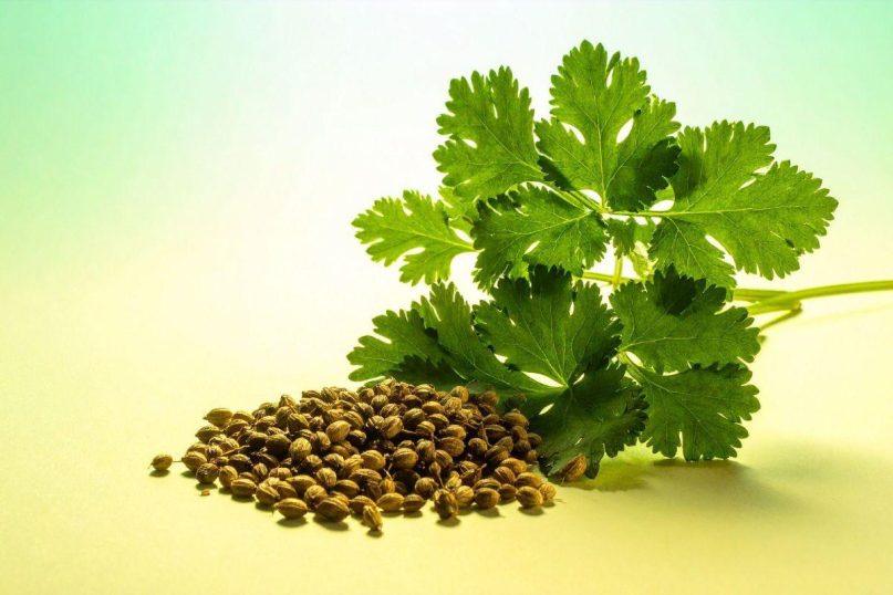 Šis prieskonis mažina kraujospūdį ir cholesterolio kiekį kraujyje: jį būtina turėti kiekvienoje virtuvėje