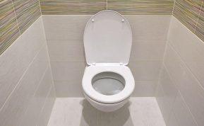 Į klozetą įmečiau mielių gabalėlį. Nors buvau nusiteikusi skeptiškai, poveikis mane sužavėjo!