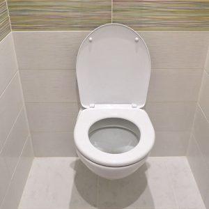 Į klozetą įmečiau mielių gabalėlį. Nors buvau nusiteikusi skeptiškai, poveikis mane sužavėjo!