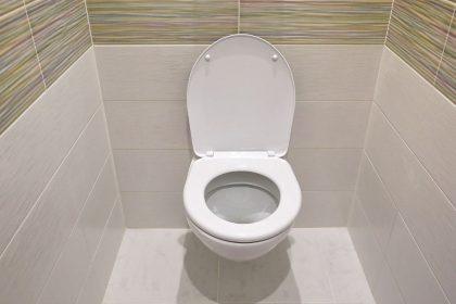 Į klozetą įmečiau mielių gabalėlį. Nors buvau nusiteikusi skeptiškai, poveikis mane sužavėjo!