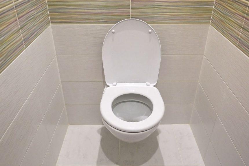 Į klozetą įmečiau mielių gabalėlį. Nors buvau nusiteikusi skeptiškai, poveikis mane sužavėjo!