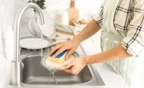 Indų plovimo kempinė ar šepetys: pasirinkimas, kuris gali paveikti jūsų sveikatą