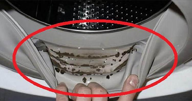 Jei skalbimo mašinoje pamatėte tokias dėmes, nedelsdami imkitės veiksmų! Pelėsis skalbimo mašinoje