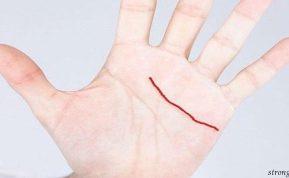 Jei turite šią liniją ant delno, jums labai pasisekė! Ją turi tik 3% žmonių