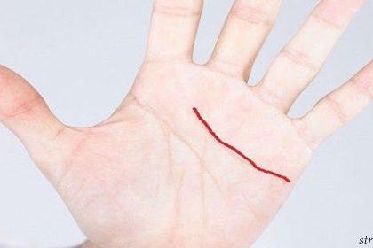 Jei turite šią liniją ant delno, jums labai pasisekė! Ją turi tik 3% žmonių