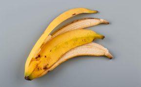 Ji paėmė banano žievelę ir užsidėjo ant galvos. Priežastis jus nustebins!