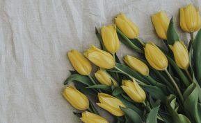 Jokiu būdu nedovanokite geltonų gėlių. Tai didelė klaida!