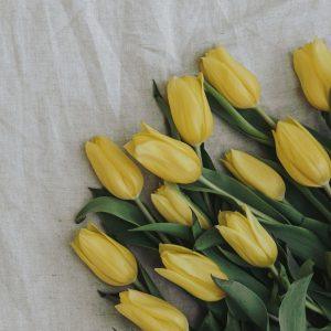 Jokiu būdu nedovanokite geltonų gėlių. Tai didelė klaida!