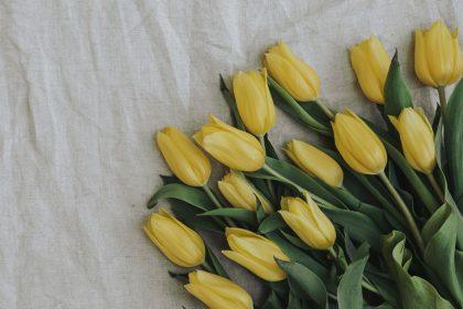 Jokiu būdu nedovanokite geltonų gėlių. Tai didelė klaida!