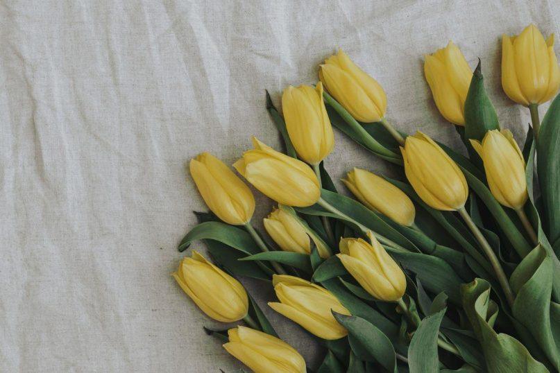 Jokiu būdu nedovanokite geltonų gėlių. Tai didelė klaida!