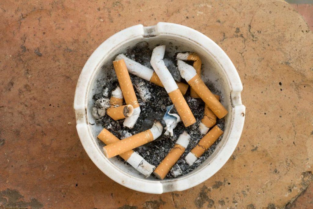 Jūsų augalai nyksta, nors darote viską „teisingai“? Gali būti, kad juos lėtai žudo cigarečių dūmai. Kenkia ir nuorūkos