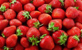 Kaip padidinti braškių derlių naudojant paprasčiausias garstyčias?