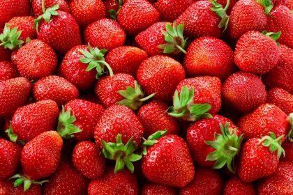 Kaip padidinti braškių derlių naudojant paprasčiausias garstyčias?