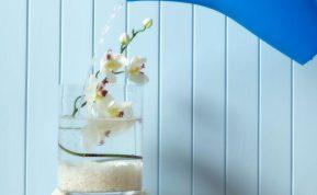 Kaip tinkamai laistyti orchidėją: trys veiksmingiausi būdai, kuriuos turi žinoti kiekvienas