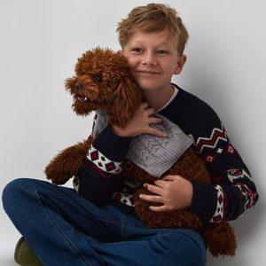 Saugios kalėdinės dekoracijos namams su šunimi ir kate: eglutė, lemputės ir dovanos