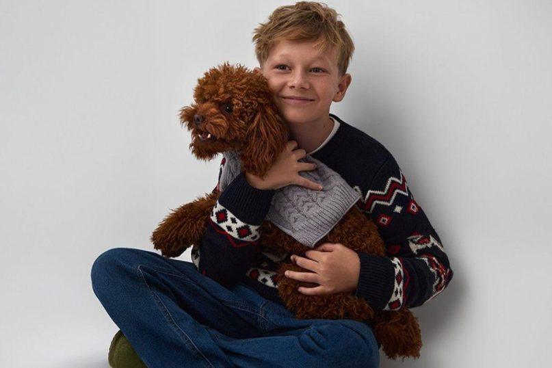 Saugios kalėdinės dekoracijos namams su šunimi ir kate: eglutė, lemputės ir dovanos