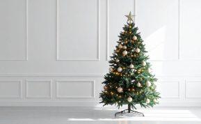 Kalėdų eglutė gali atnešti į namus tūkstančius vabzdžių – štai ką būtina žinoti