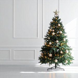 Kalėdų eglutė gali atnešti į namus tūkstančius vabzdžių – štai ką būtina žinoti