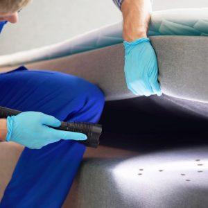 Kas atbaido blakes? Senolių patarimai, kaip atsikratyti šių kenkėjų