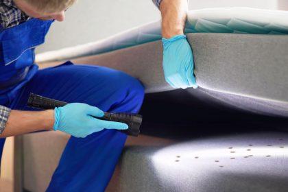 Kas atbaido blakes? Senolių patarimai, kaip atsikratyti šių kenkėjų