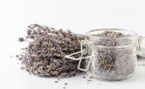 Klaidos, kurias dažniausiai daromos džiovinant levandas: išsisaugokite patarimus kitam sezonui!