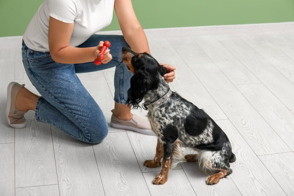 Kodėl "ne" nėra geriausias būdas auklėti šuniuką
