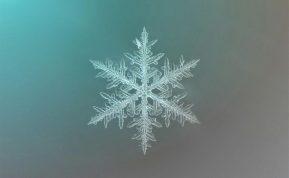 Kodėl mokslininkai žavisi snaigėmis: tai tikras gamtos stebuklas apie kurį žinome labai mažai